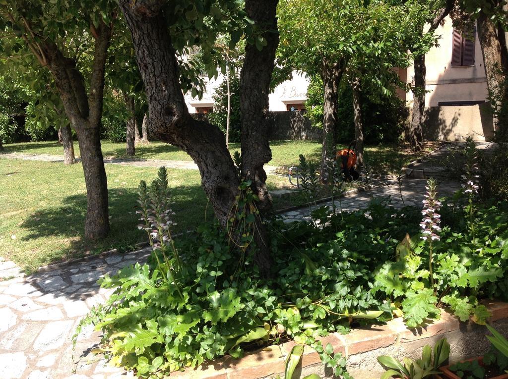 La Romita Ospitalita Rurale Familiare Villa Montisi Dış mekan fotoğraf